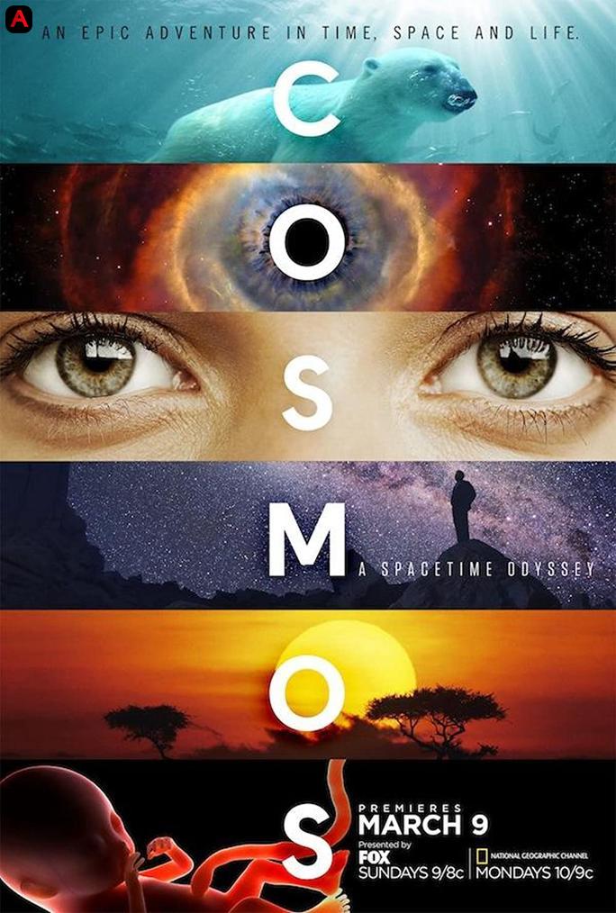 Cosmos: A SpaceTime Odyssey (Season 1)