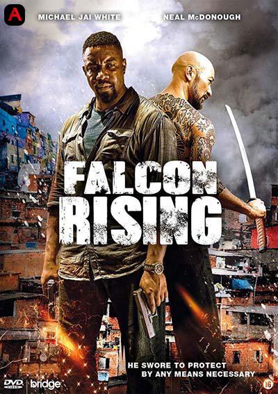 Falcon Rising