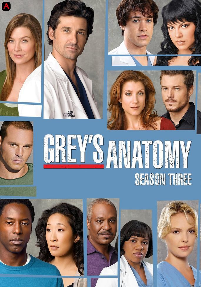 Grey's Anatomy (Season 3)