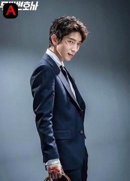 Lawless Lawyer