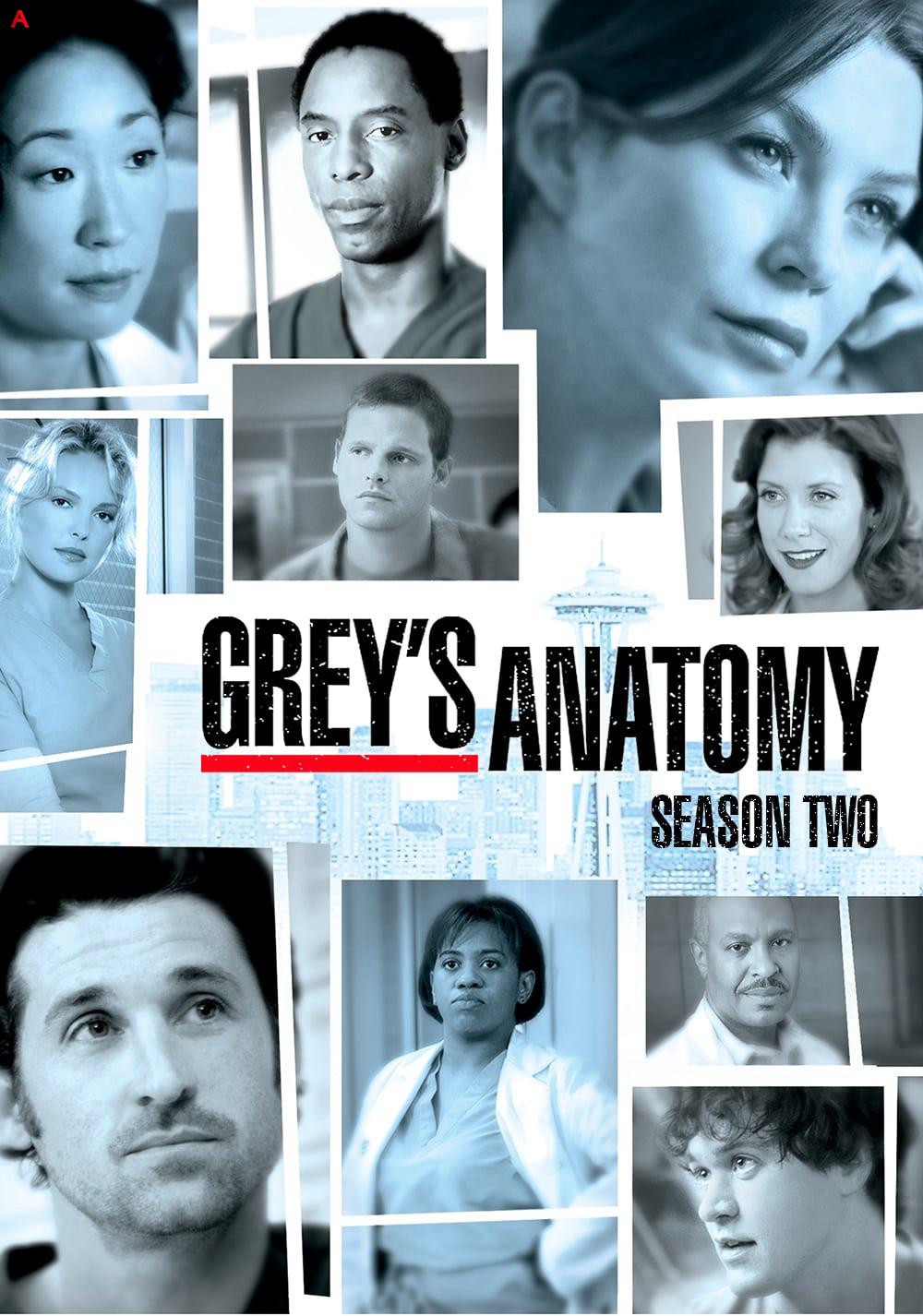 Grey's Anatomy (Season 2)