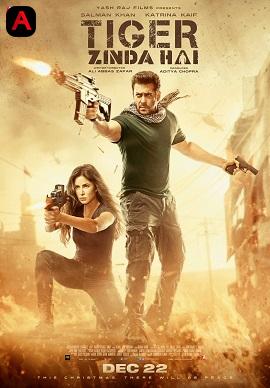 Tiger Zinda Hai(2017)