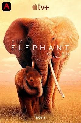 The Elephant Queen(2019)